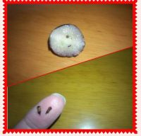 4月29日(月)入間倉庫！