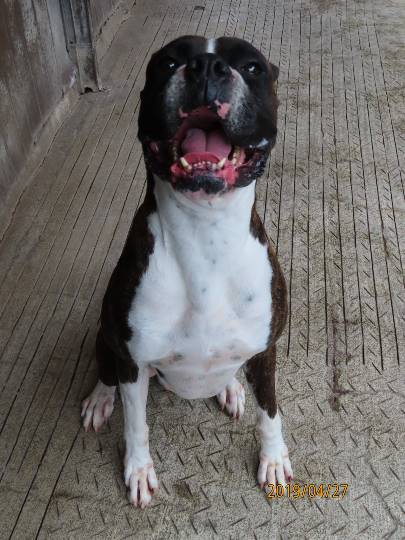 生き物ルーム第11(=^ェ^=)