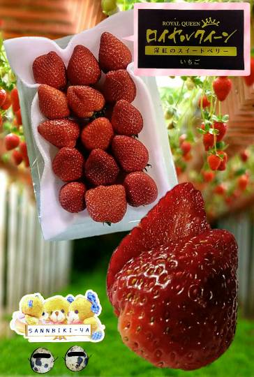 vol.14 愛調(オチョ)南関東(ミナカン)連合 暖かくなりましたね~♪