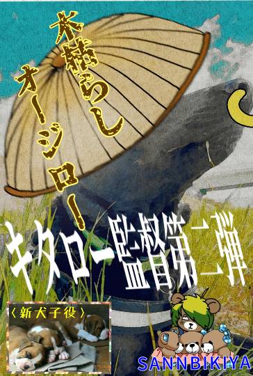 生き物ルーム第11(=^ェ^=)