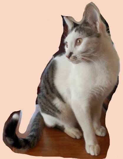 生き物ルーム第11(=^ェ^=)