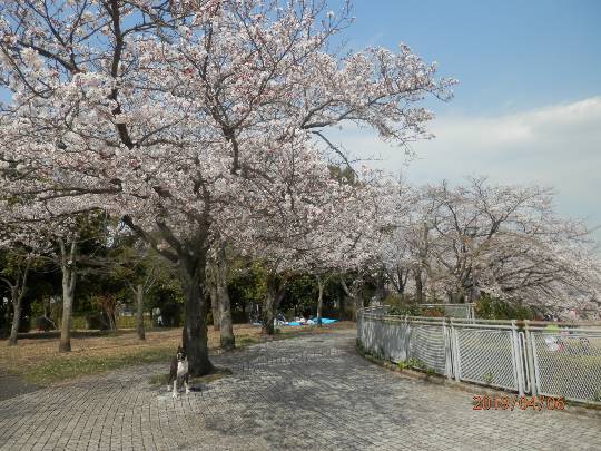 生き物ルーム第11(=^ェ^=)