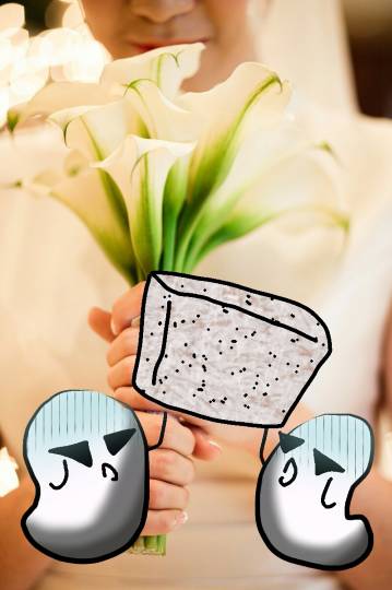 生き物ルーム第11(=^ェ^=)