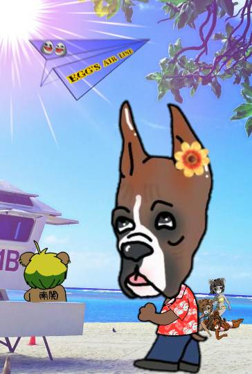 生き物ルーム第11(=^ェ^=)