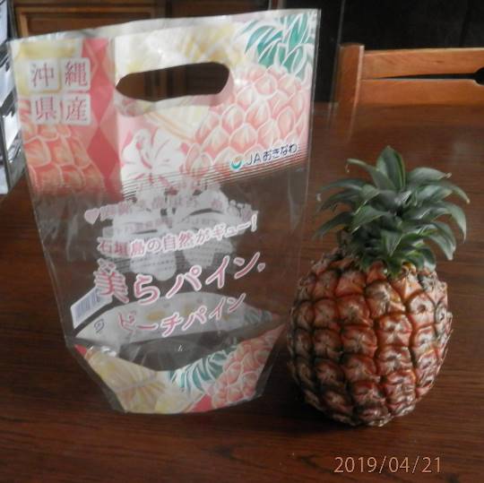 vol.14 愛調(オチョ)南関東(ミナカン)連合 暖かくなりましたね~♪