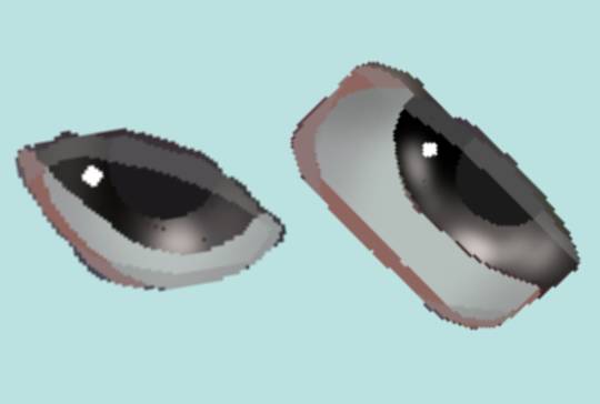 生き物ルーム第11(=^ェ^=)