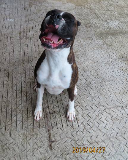 生き物ルーム第11(=^ェ^=)