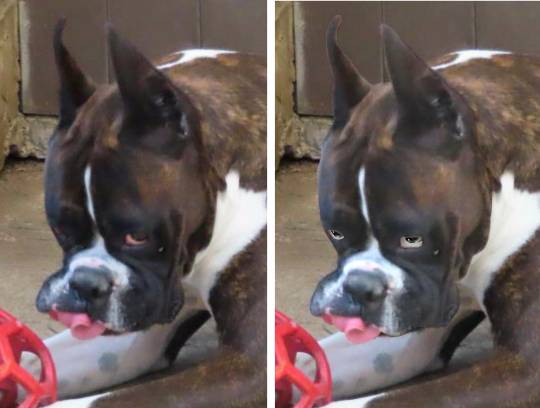 生き物ルーム第11(=^ェ^=)