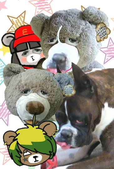 生き物ルーム第11(=^ェ^=)