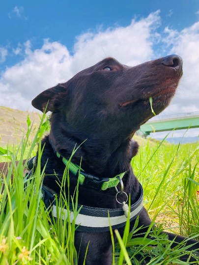 生き物ルーム第11(=^ェ^=)