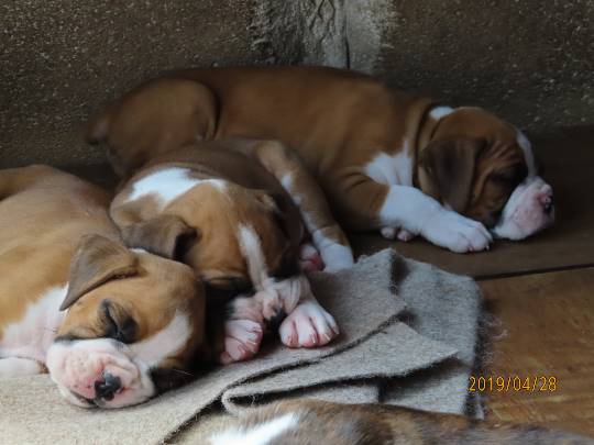 生き物ルーム第11(=^ェ^=)