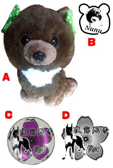 生き物ルーム第11(=^ェ^=)