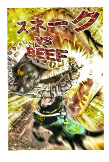 生き物ルーム第11(=^ェ^=)