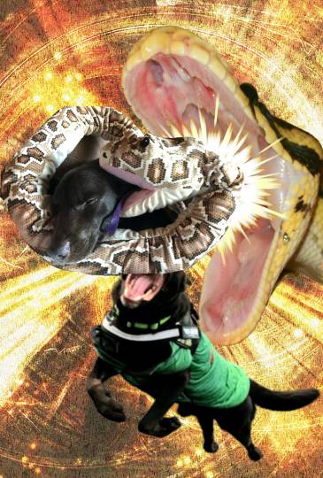 生き物ルーム第11(=^ェ^=)