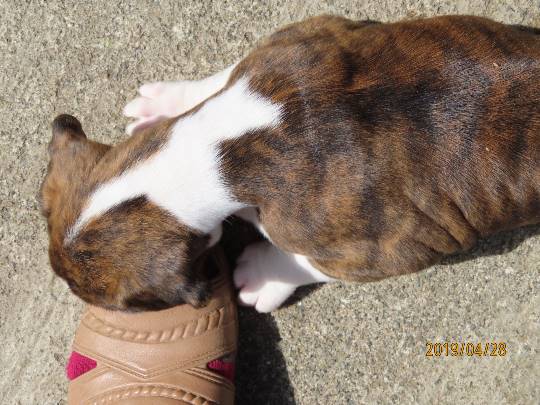 生き物ルーム第11(=^ェ^=)