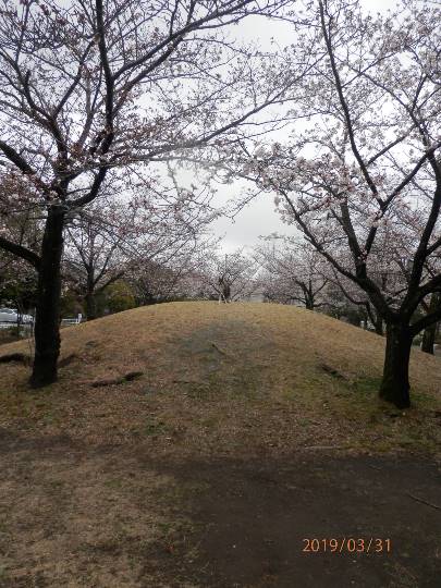 生き物ルーム第11(=^ェ^=)