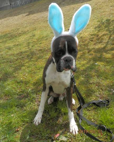 生き物ルーム第11(=^ェ^=)