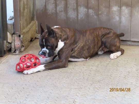 生き物ルーム第11(=^ェ^=)