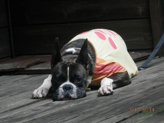 生き物ルーム第11(=^ェ^=)