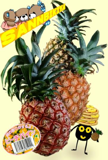 vol.14 愛調(オチョ)南関東(ミナカン)連合 暖かくなりましたね~♪