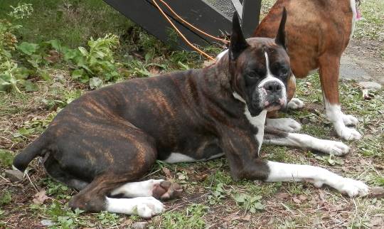 生き物ルーム第11(=^ェ^=)