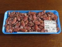 5/11(土)多摩境【アメリカンチェリー入荷】