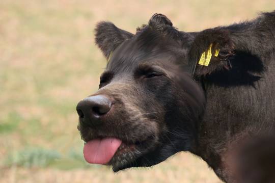 EGG'S CAFE 平成最後?の品位(アッタッケ?)