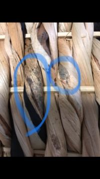 ウォーターヒヤシンスのカゴのカビ？風合い？について