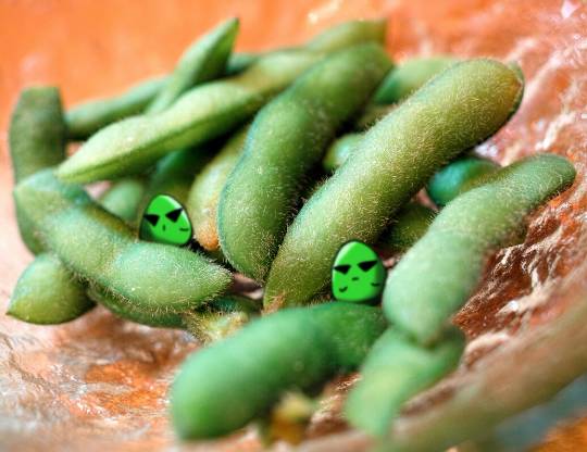 EGG'S CAFE 平成最後?の品位(アッタッケ?)