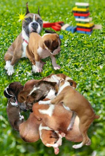 生き物ルーム第11(=^ェ^=)