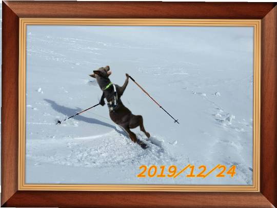 生き物ルーム第11(=^ェ^=)