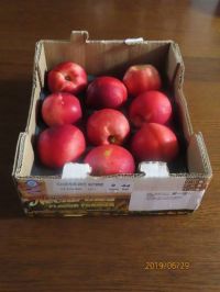 6月29日(土曜日)　多摩境倉庫店