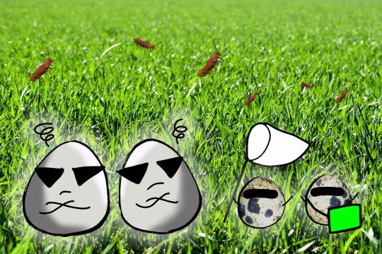 EGG'S CAFE 平成最後?の品位(アッタッケ?)