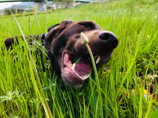 EGG'S CAFE 平成最後?の品位(アッタッケ?)