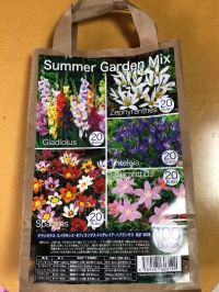 6月10日(月曜日)　野々市倉庫店