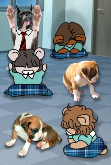 vol.14　愛調(ｵﾁｮ)南関東(ミナカン)連合  暖かくなりましたね～♪　