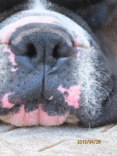 EGG'S CAFE 平成最後?の品位(アッタッケ?)