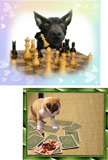 生き物ルーム第11(=^ェ^=)