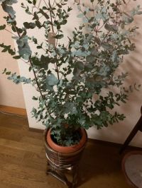 6月8日(土曜日)　かみのやま倉庫店