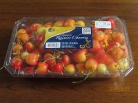 6月29日(土曜日)　多摩境倉庫店