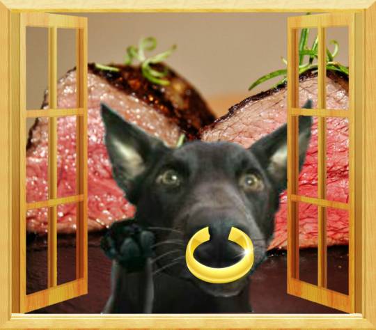 生き物ルーム第11(=^ェ^=)