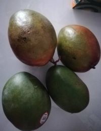 7月1日(月曜日)　広島倉庫店