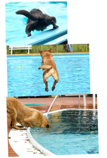 生き物ルーム第12