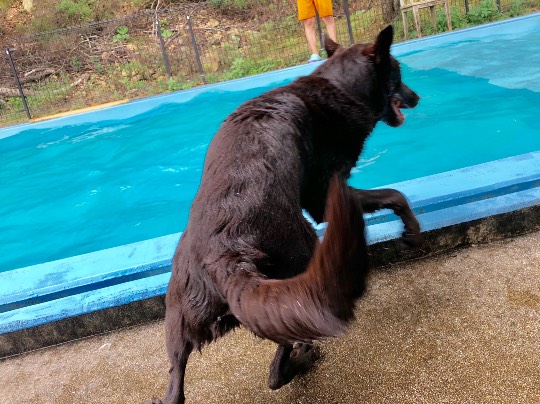 生き物ルーム第12