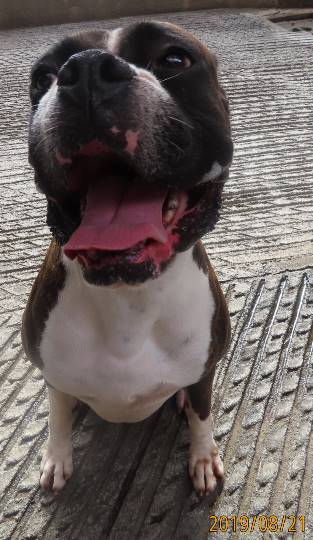 生き物ルーム第12