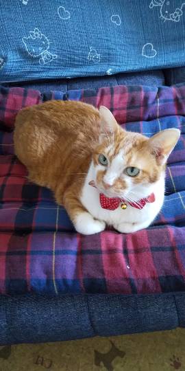 vol.15　愛調(ｵﾁｮ)南関東(ミナカン)連合  暑くなりましたね～♪　