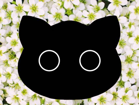 生き物ルーム第12