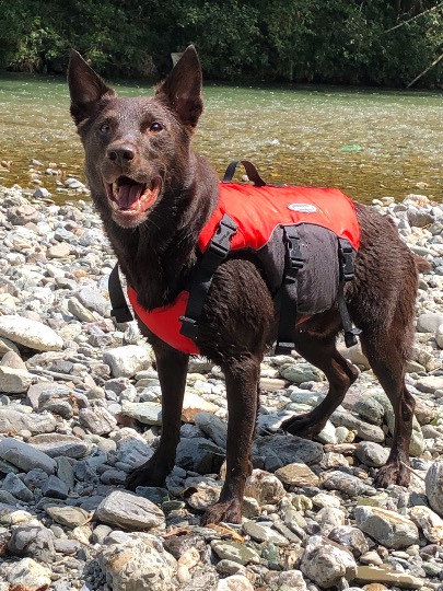 生き物ルーム第12