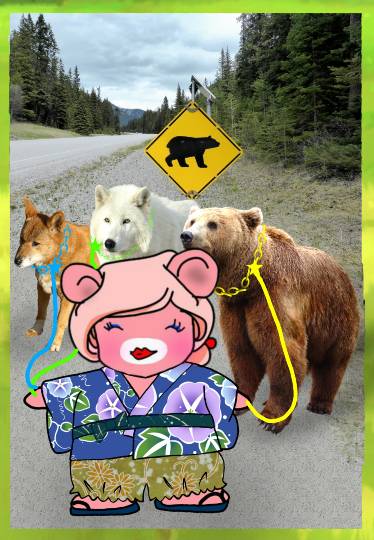 生き物ルーム第12