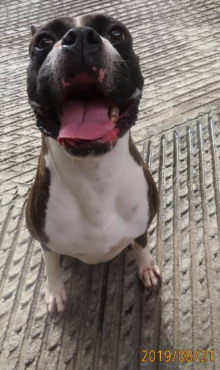 生き物ルーム第12